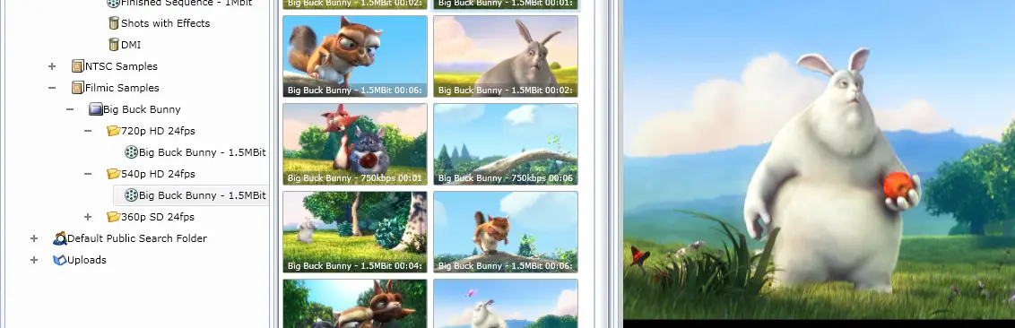 and collaborate in real-time